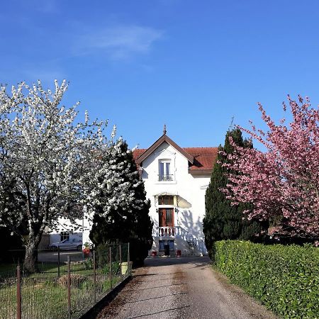 La Maison Mirabeau Verdun-sur-Meuse Bagian luar foto
